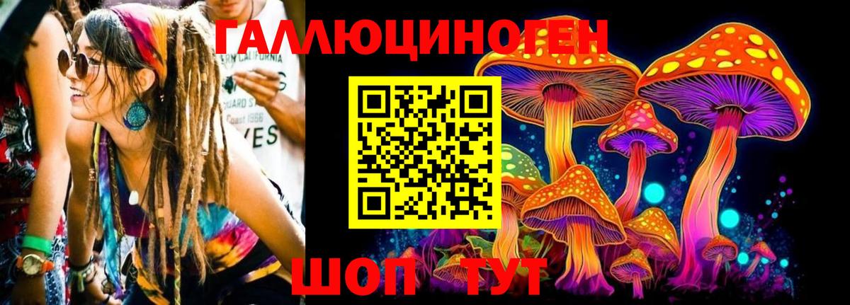Псилоцибиновые грибы Psilocybe Фролово