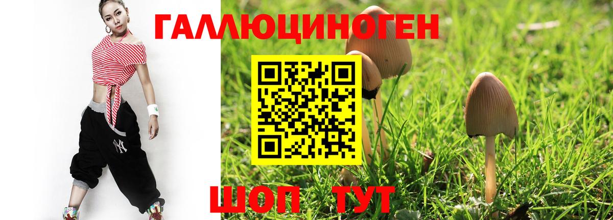 Фролово  Галлюциногенные грибы прущие грибы  Галлюциногенные грибы GOLDEN TEACHER  Вход с VPN 