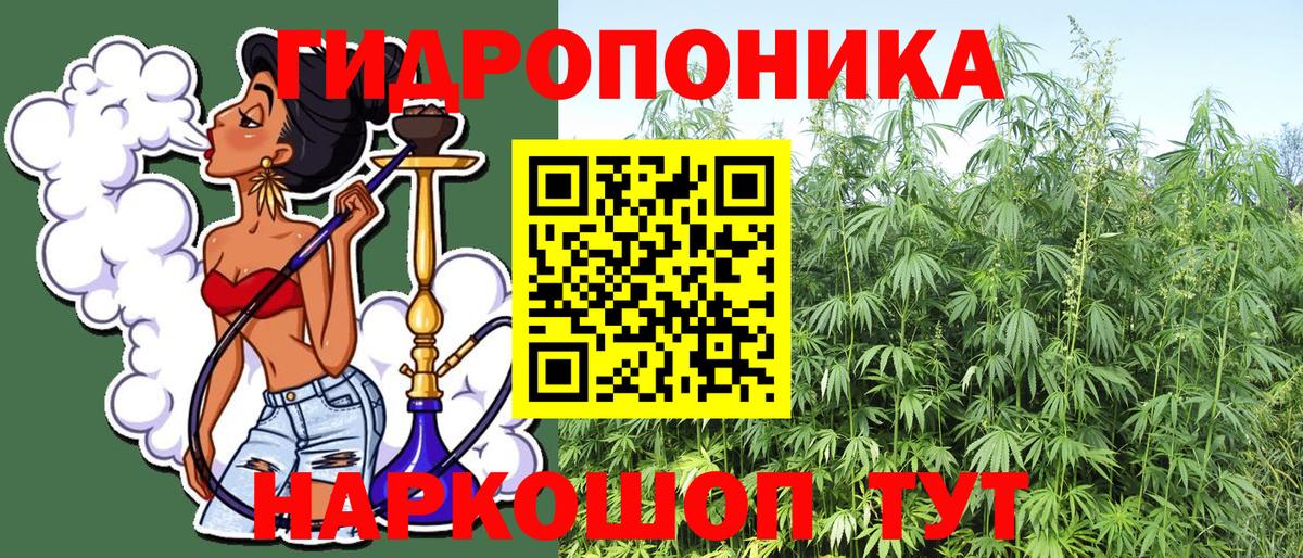 Фролово  МАРИХУАНА OG Kush  Вход с VPN  Каннабис SATIVA & INDICA 
